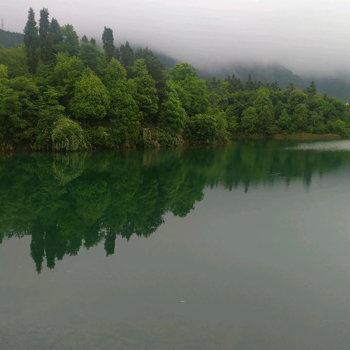 耀鸿农业(军哥)
