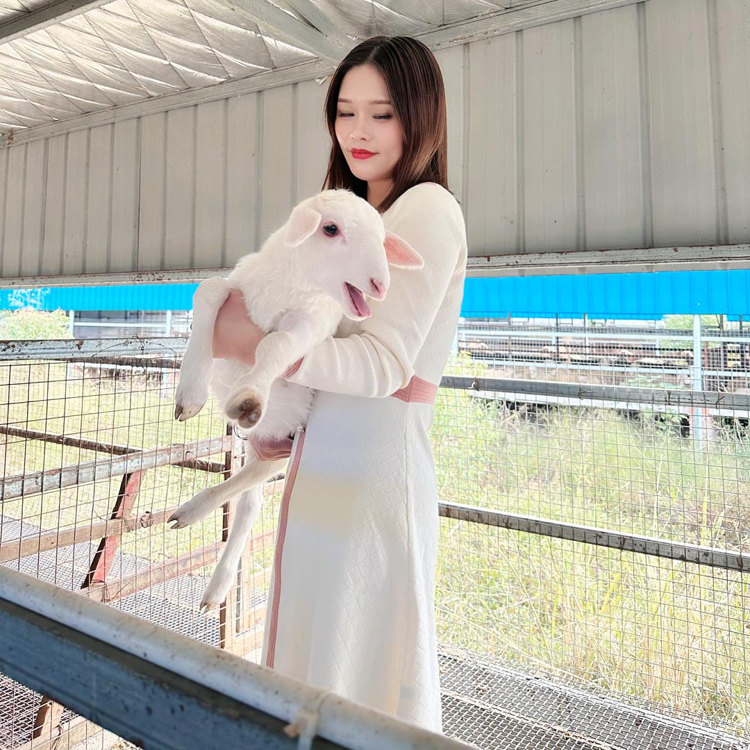 固始县澳群牧业养殖专业合作社