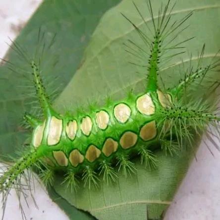 看淡生活才会安静