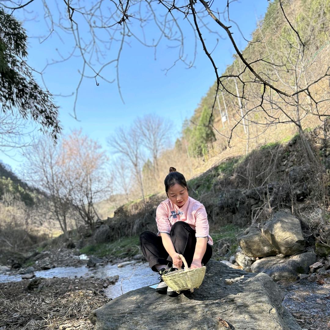 秦南九妹