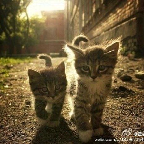 跳跳糖