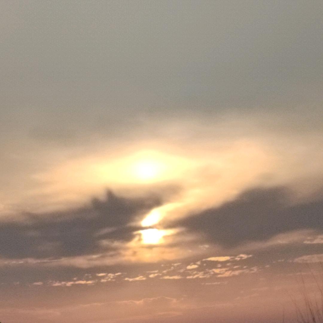 贰两阳光