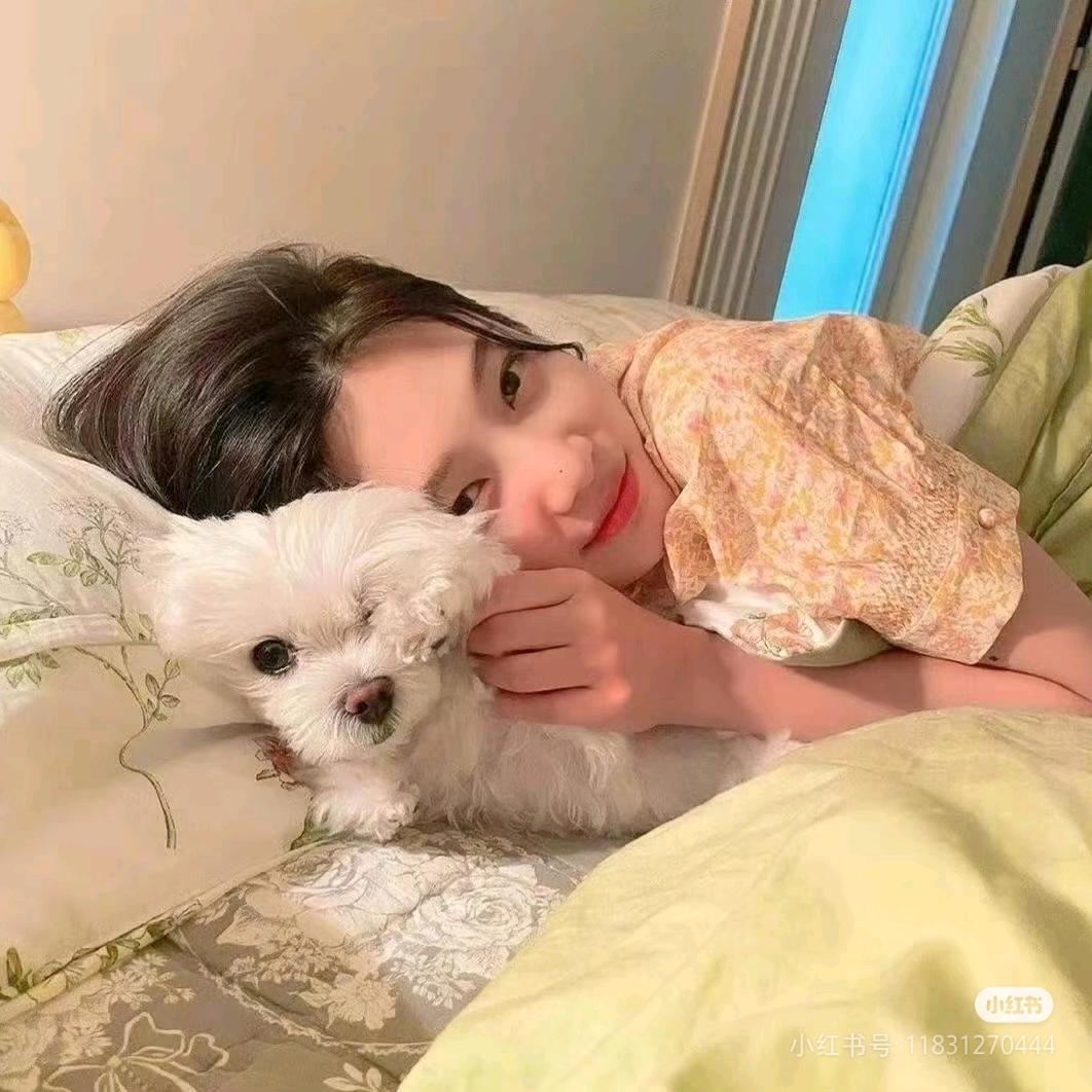 一只绵羊🐑