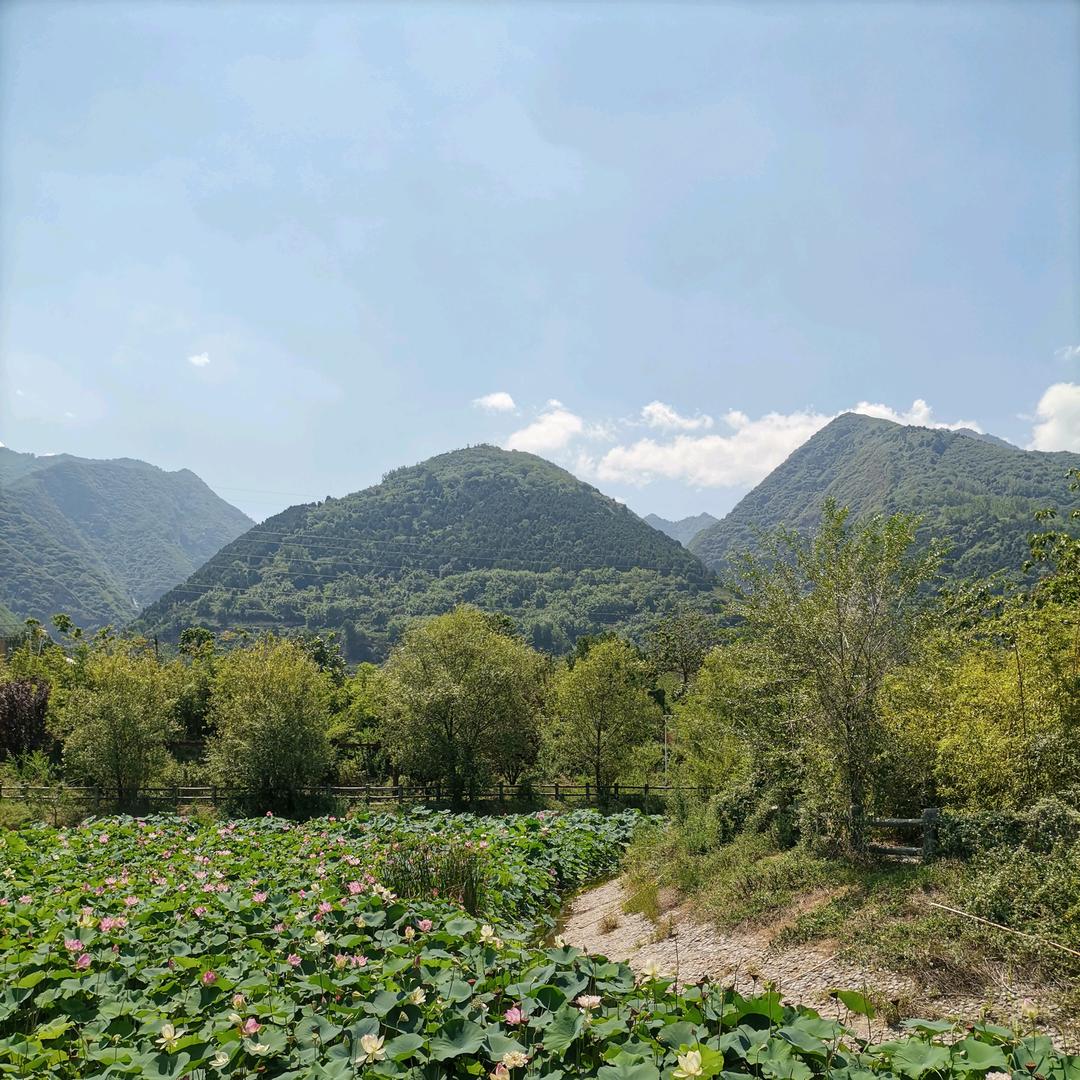 华州小翰