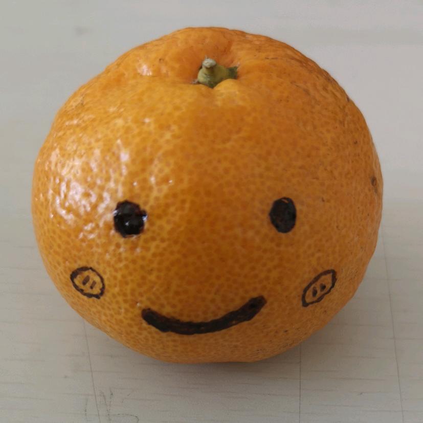 橘宝儿🍊