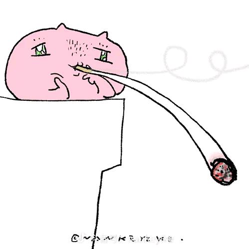 猪大肠酱