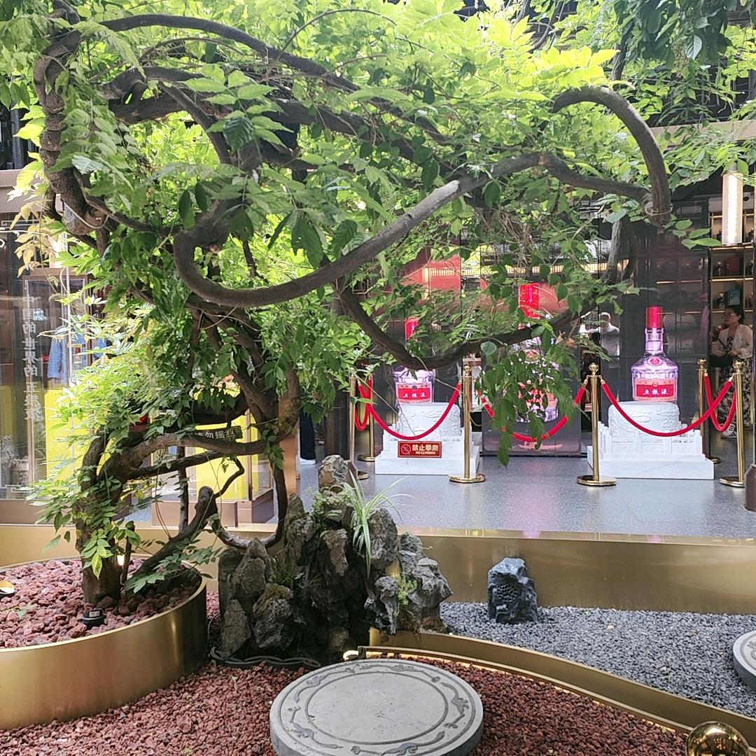 幸运儿一💕