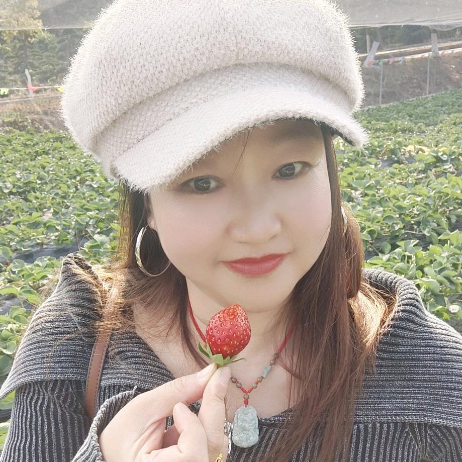 湖南叶子