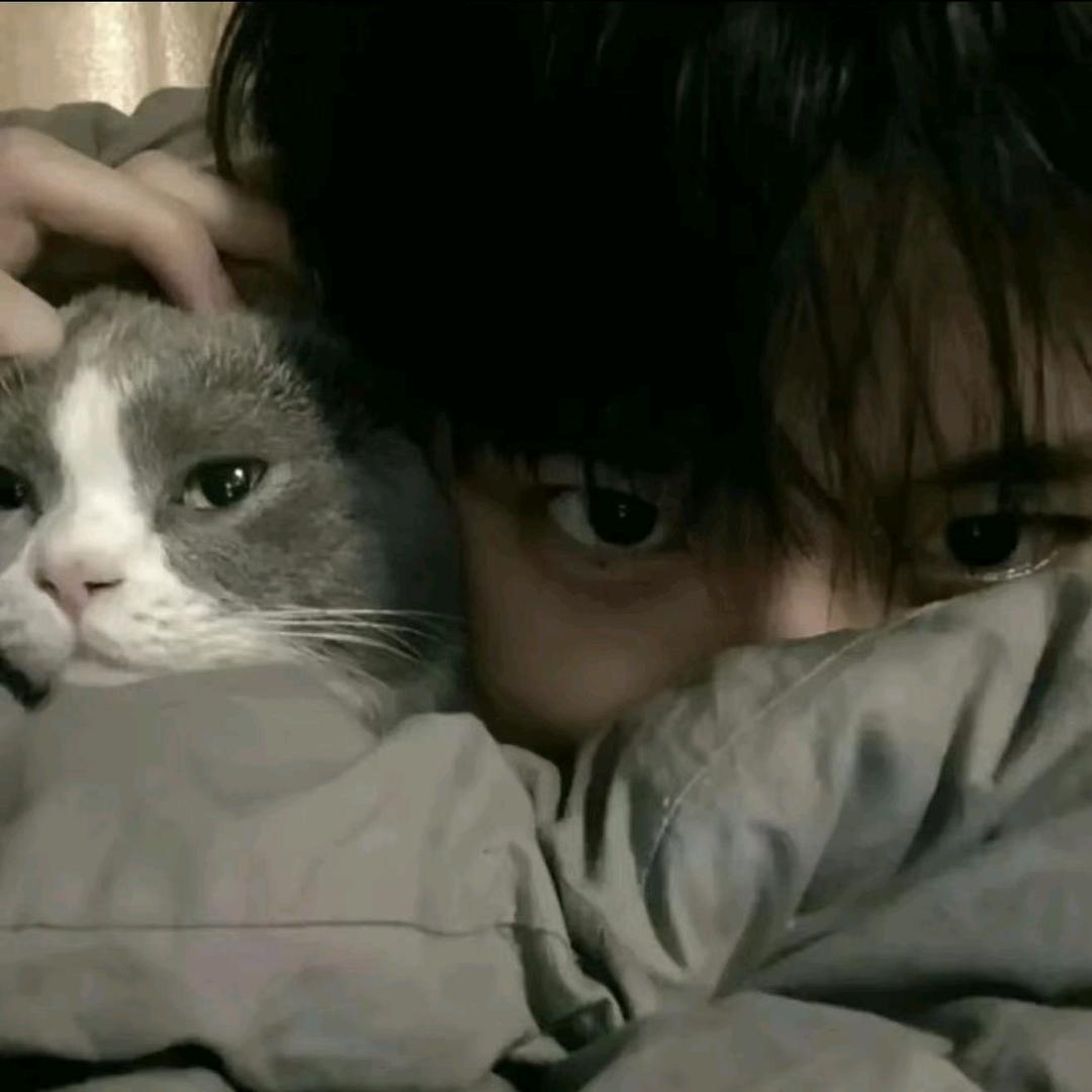 笙笙（三角洲行动）