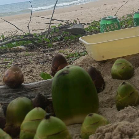 🍎有个果🍏¹²³⁶