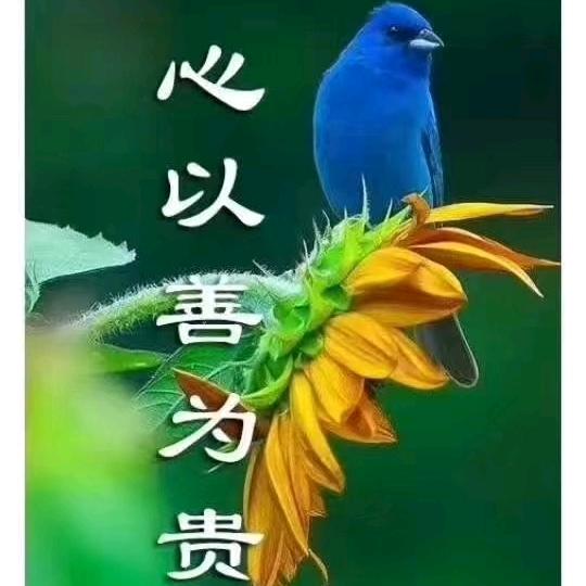 @阳光