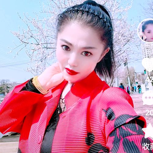 宥维沉香种植~沈阳分公司种植户！