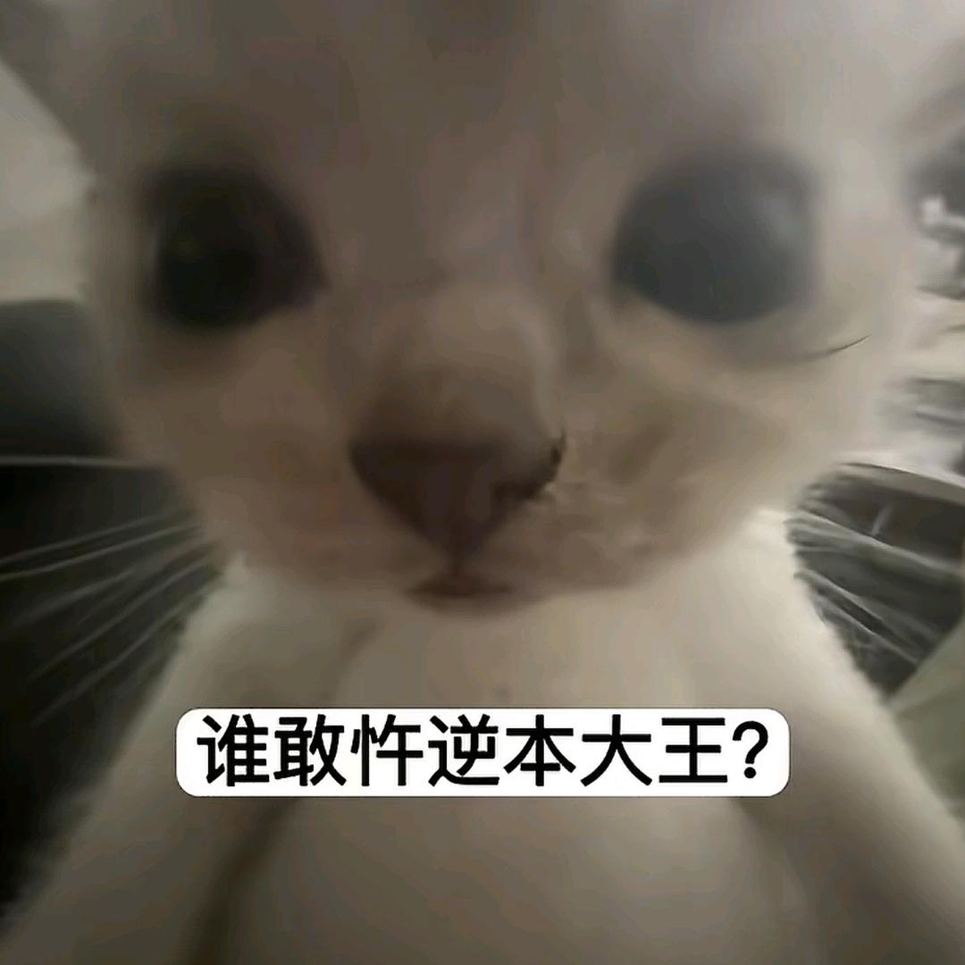 www