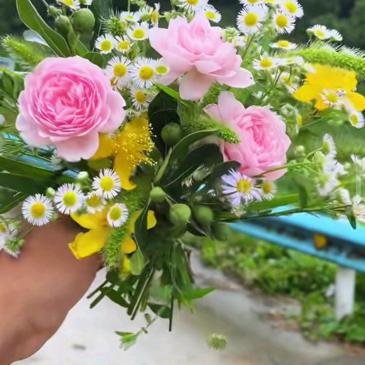 技技