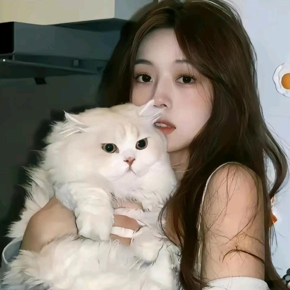 小鱼干🐟