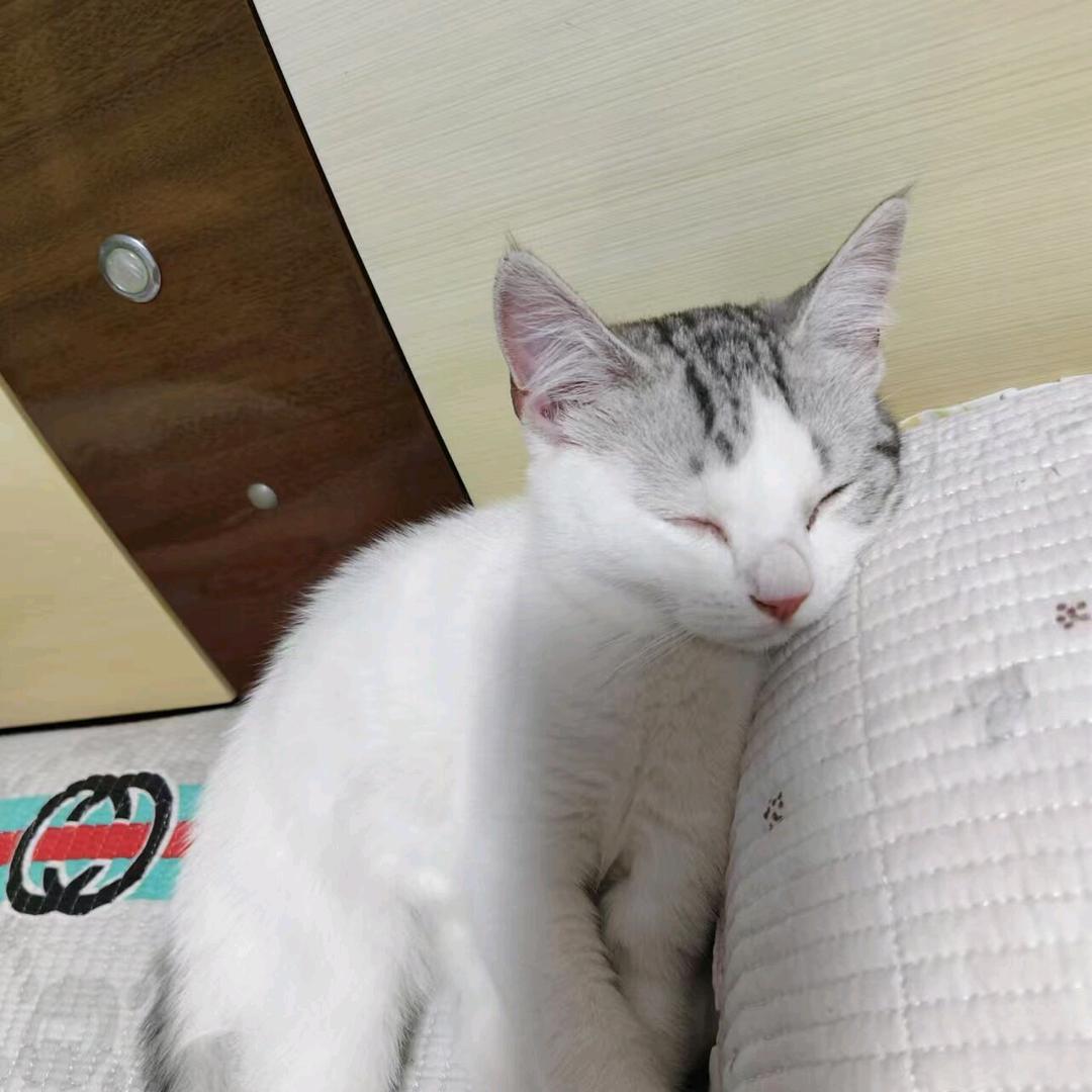如是