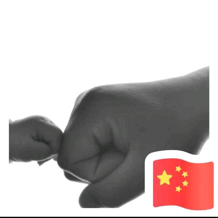 一不小心胖五斤