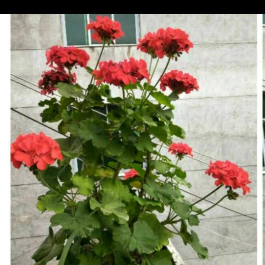 爱谁不如爱自己