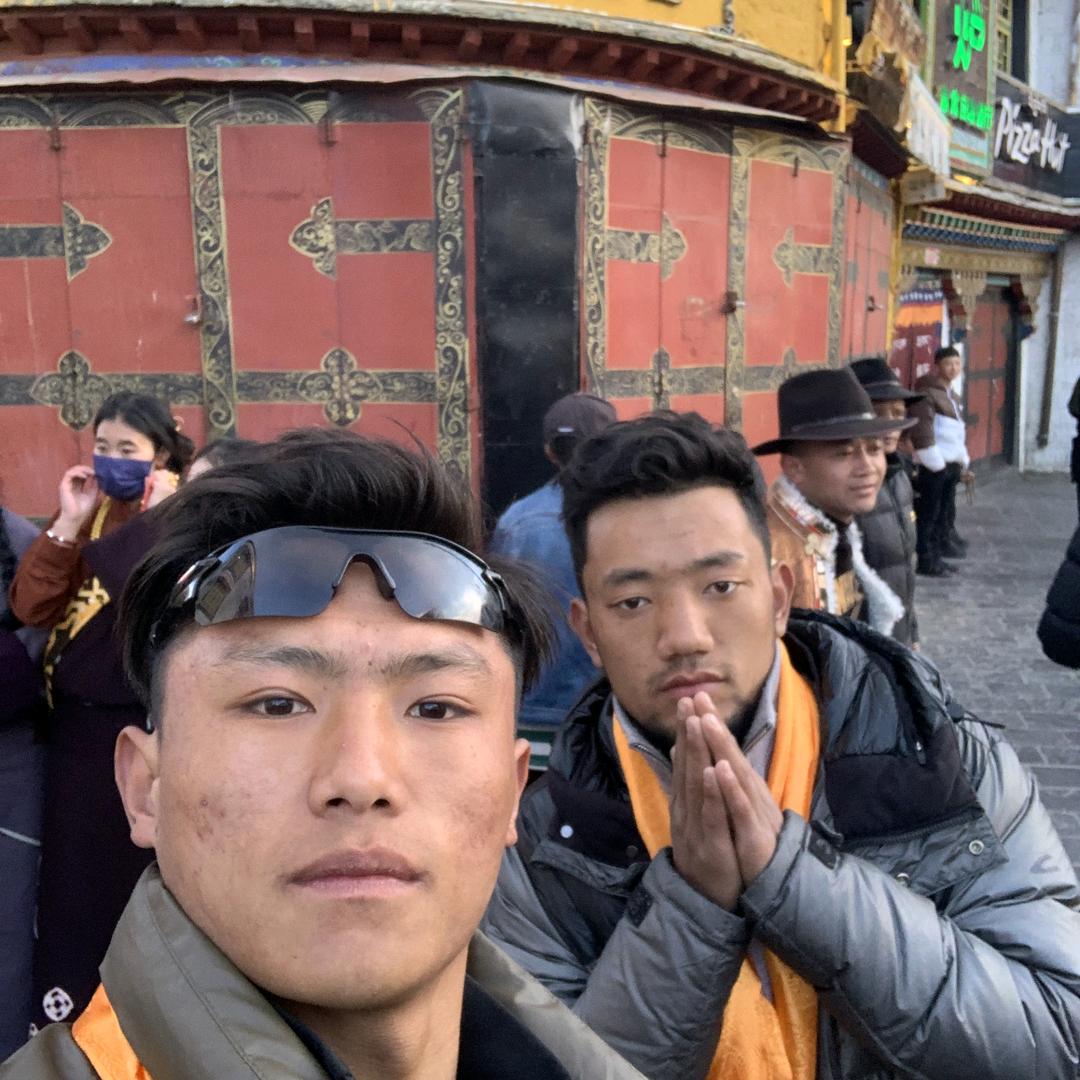 奔跑的牦牛兄弟