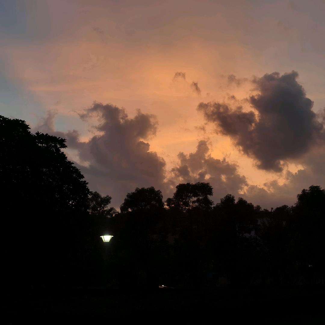 胖嘟嘟的盛瑾妈