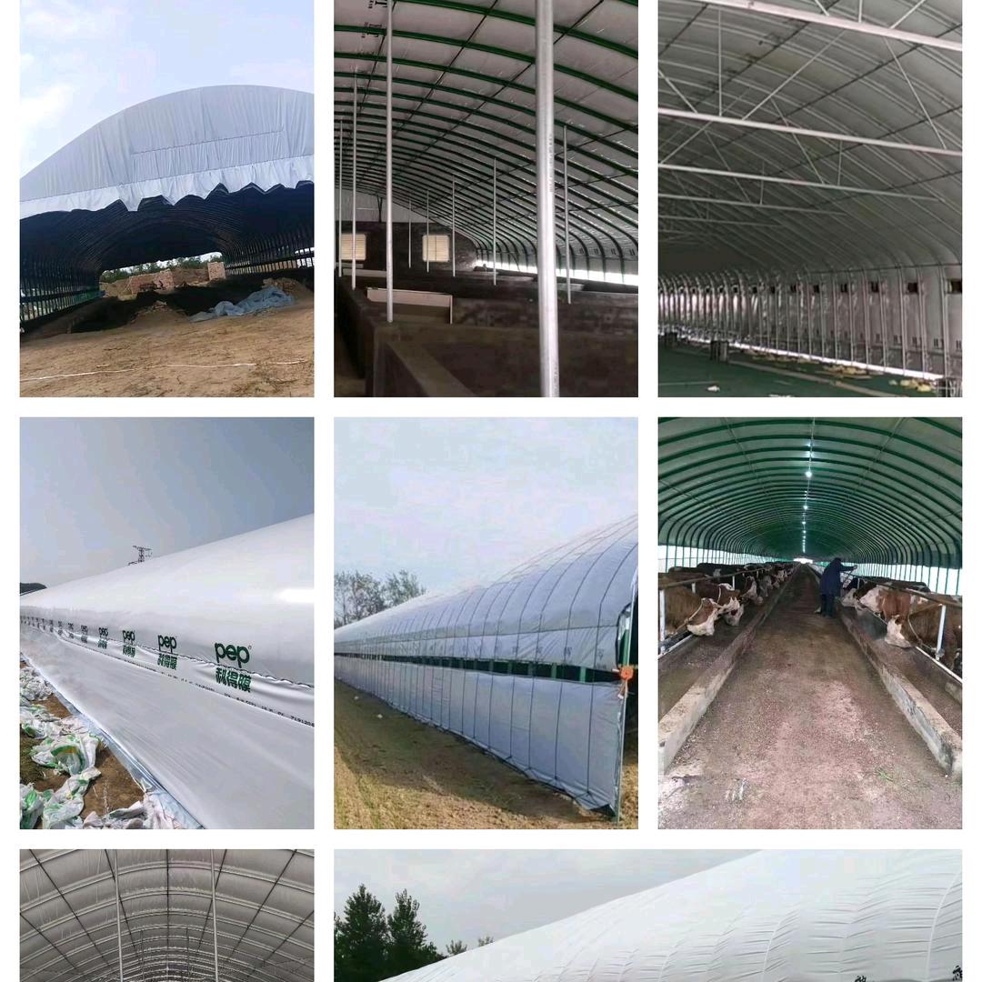 蚌埠文翔农业养殖大棚