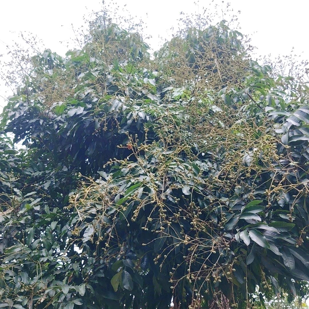 累了