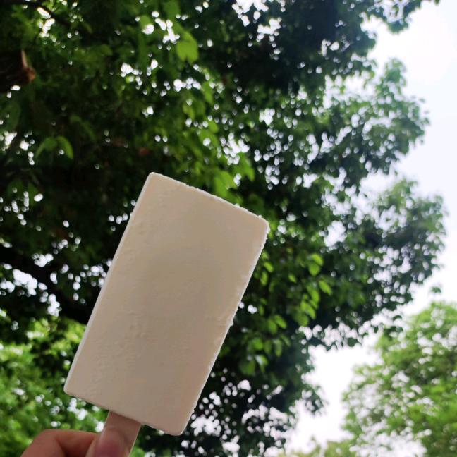 烟雨任平生