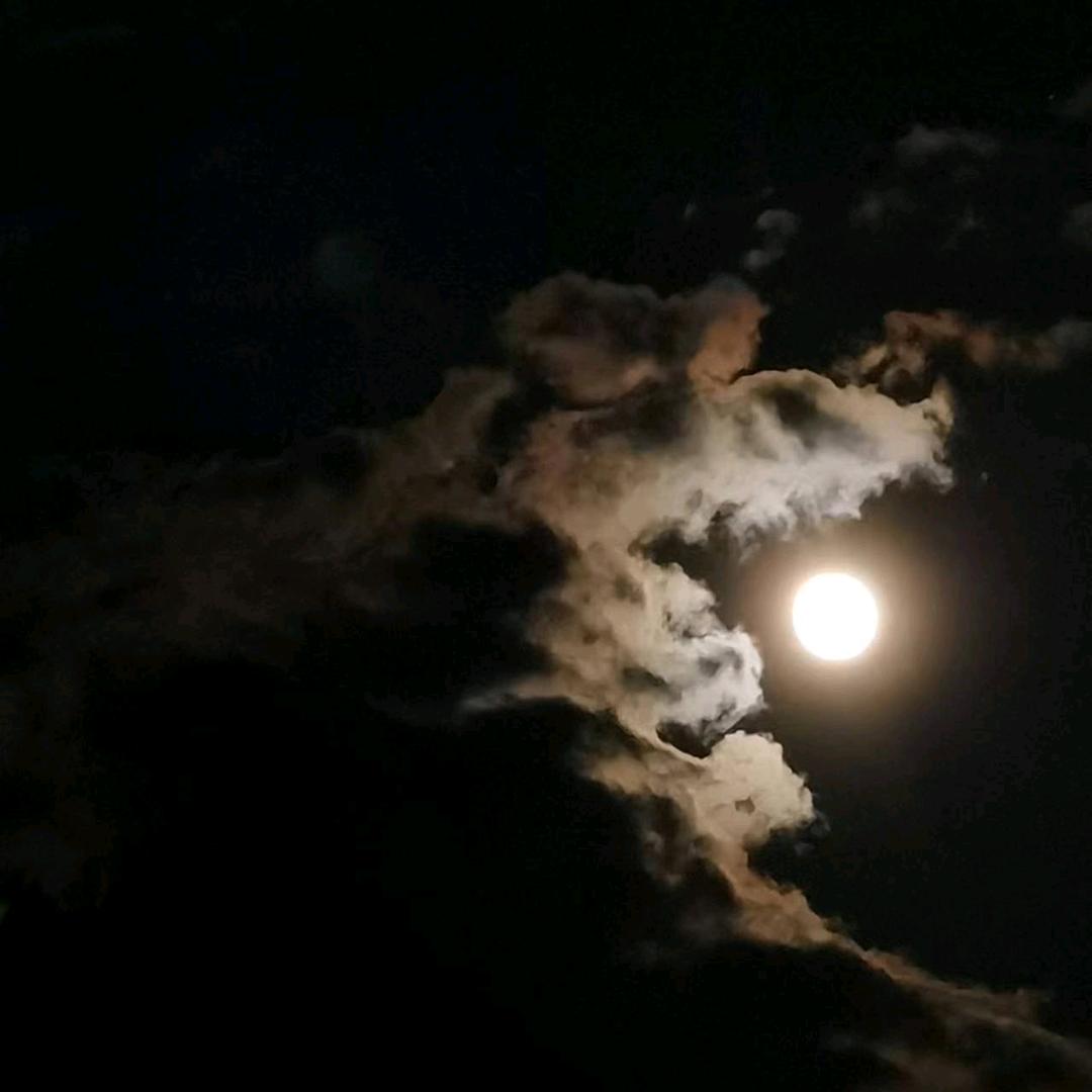 乌拉拉的天上飘过一片云