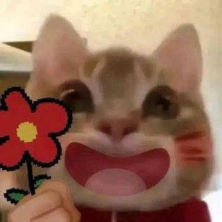 幸福每一天。。