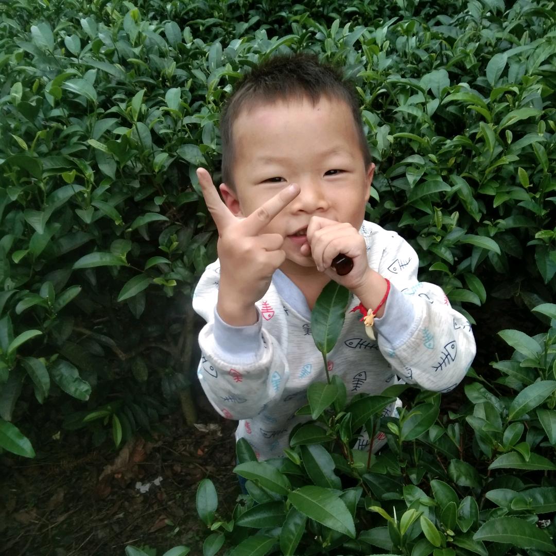 情