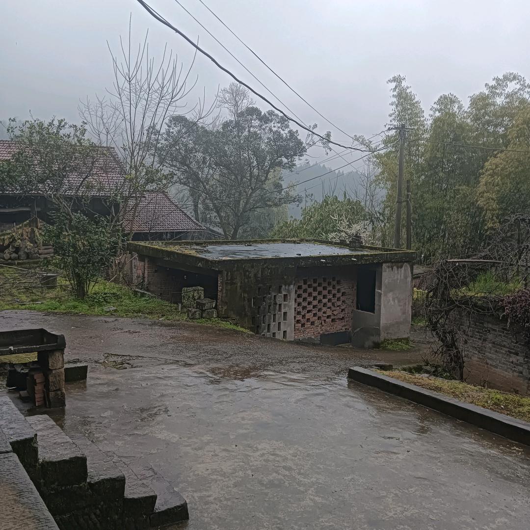 阳光