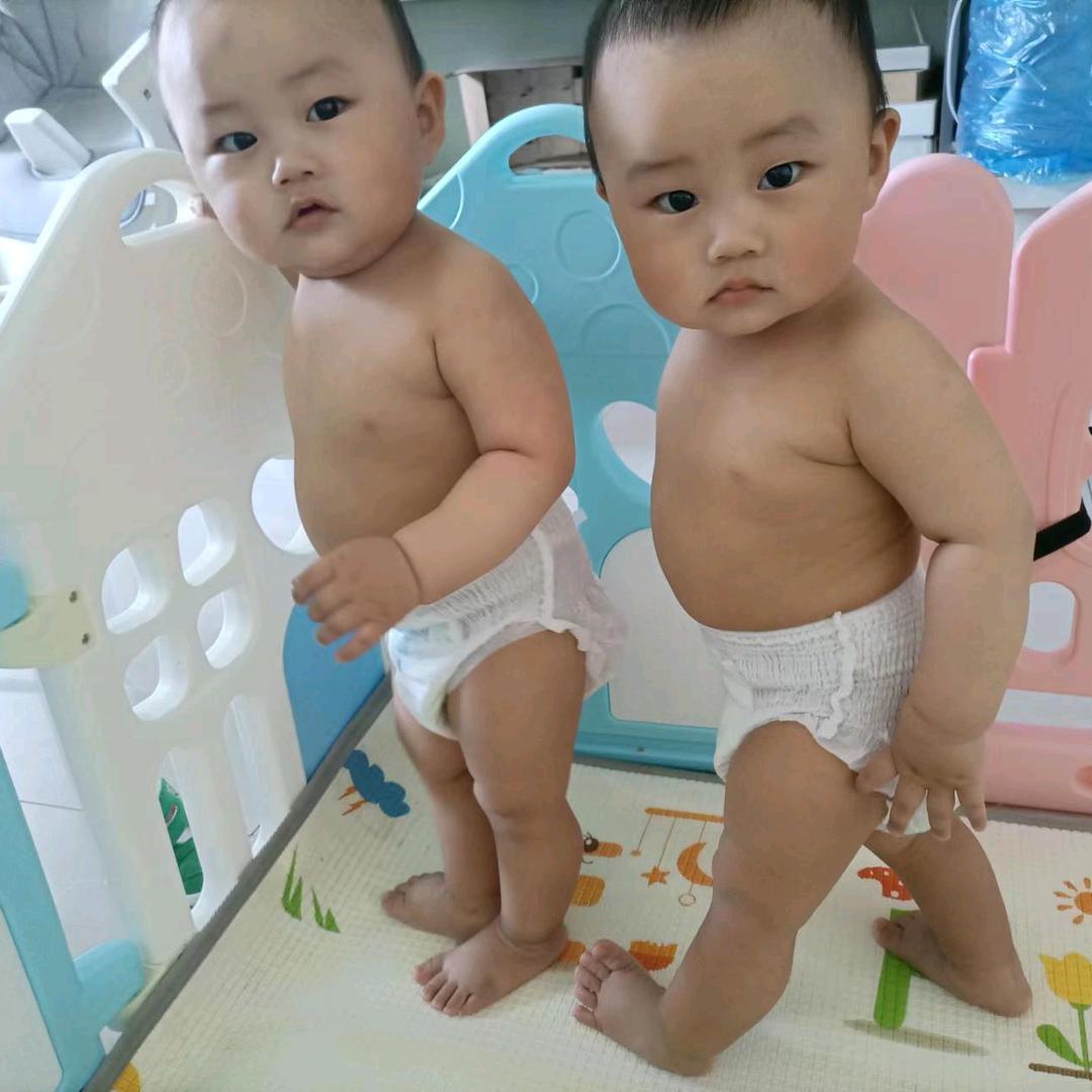 南北云宇种药材