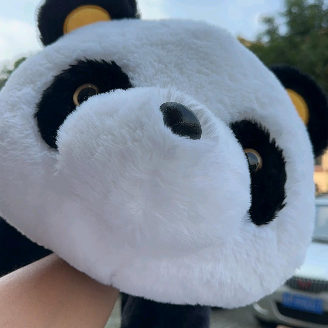 不将就🐼