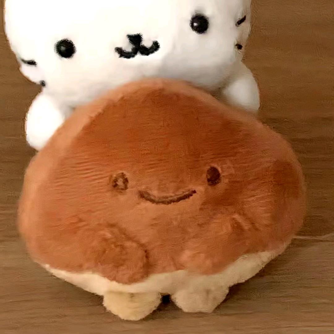 小银鱼