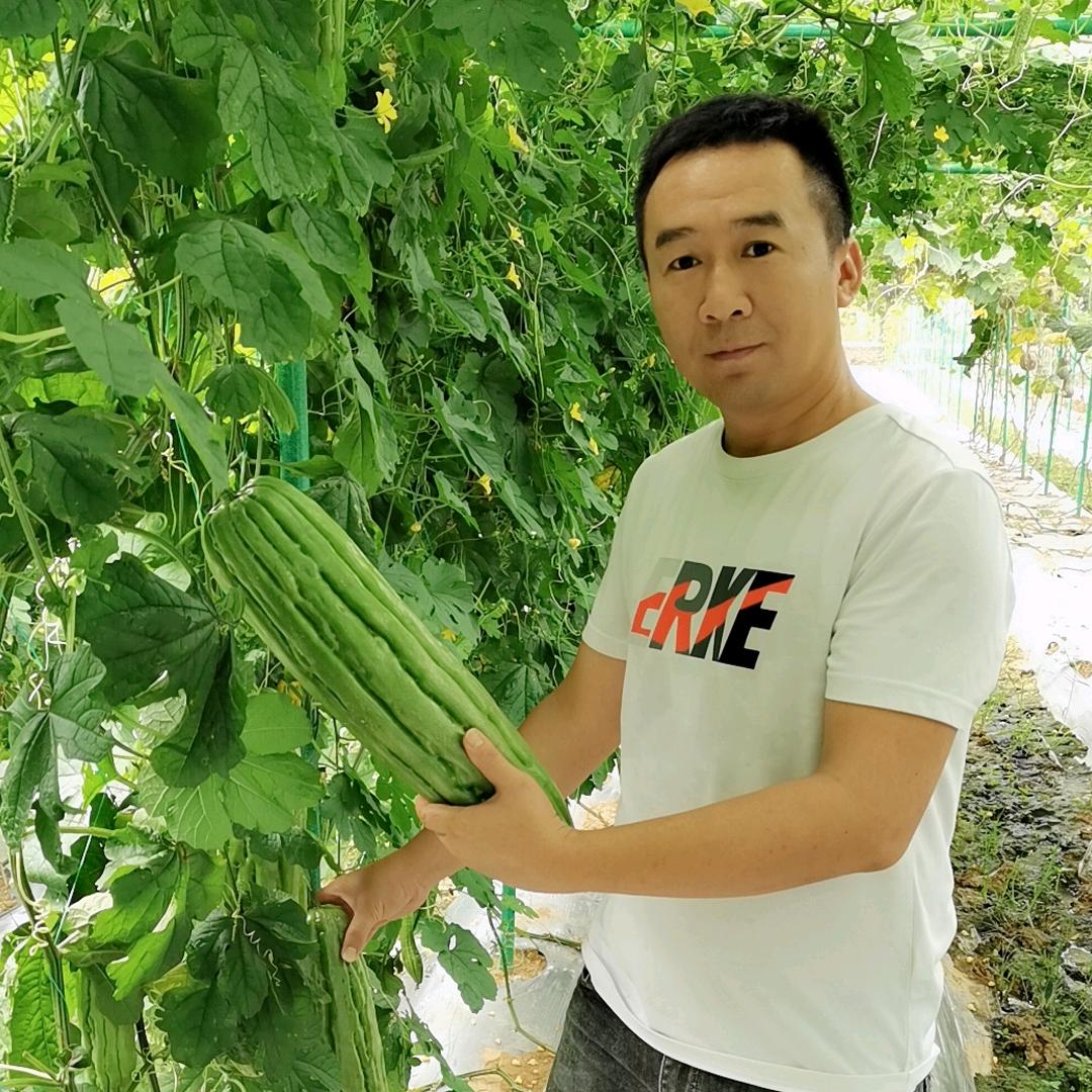 金福种业