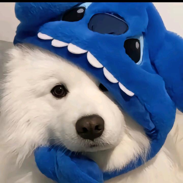 哆啦之梦