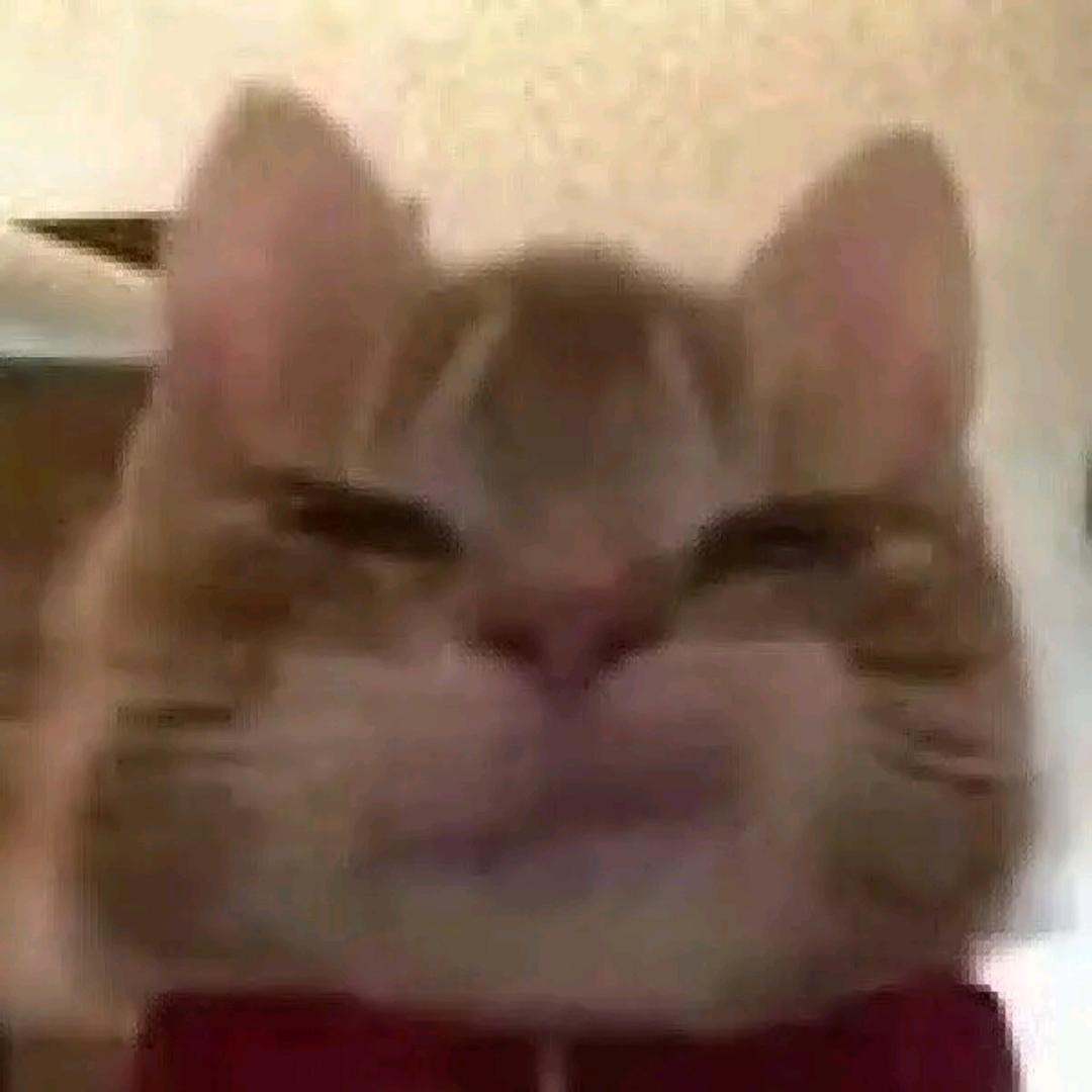 北冥有条蔡徐鲲