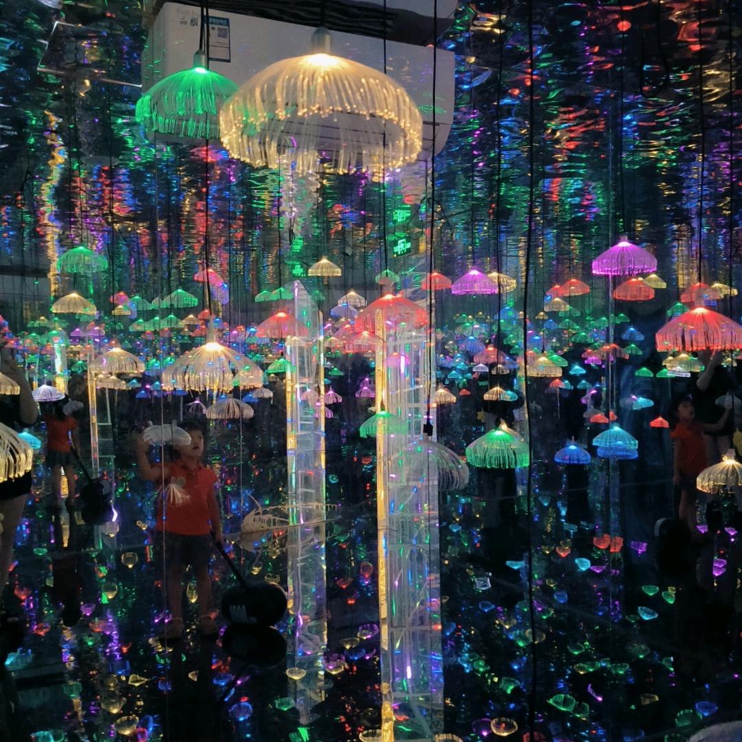 湛江蚝王(韶锋)