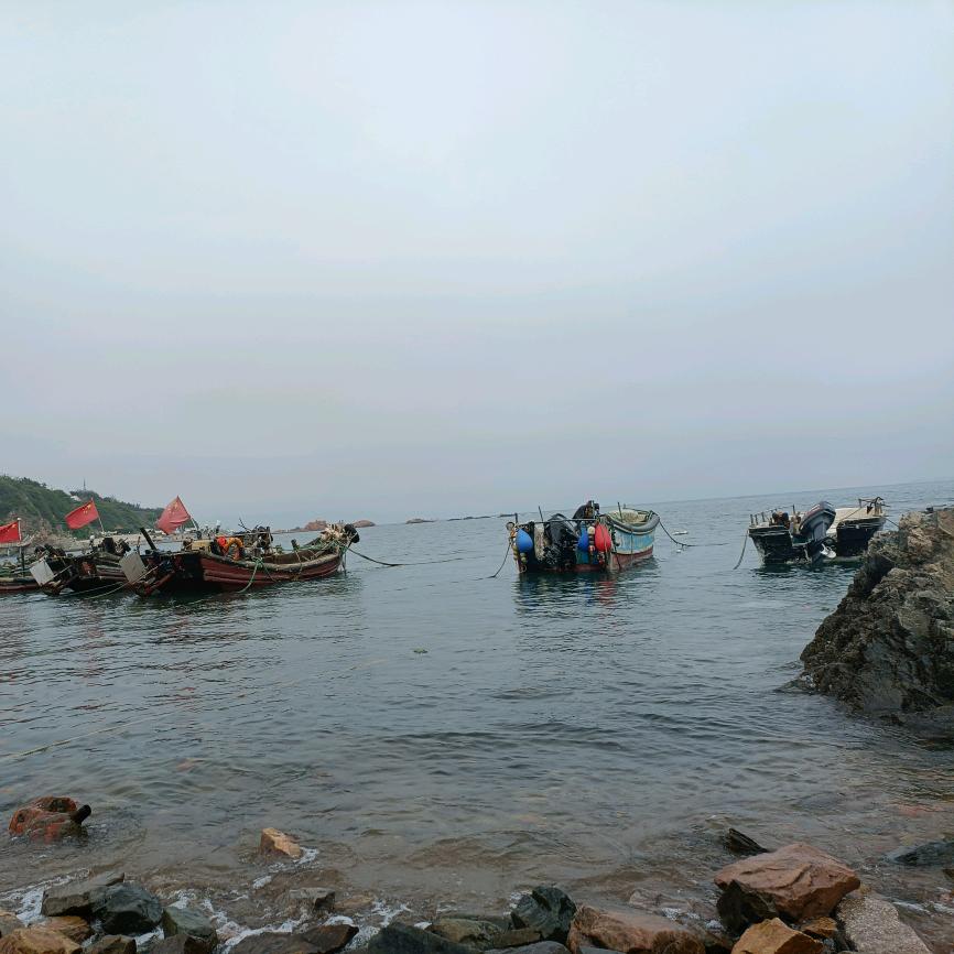涵涵有样
