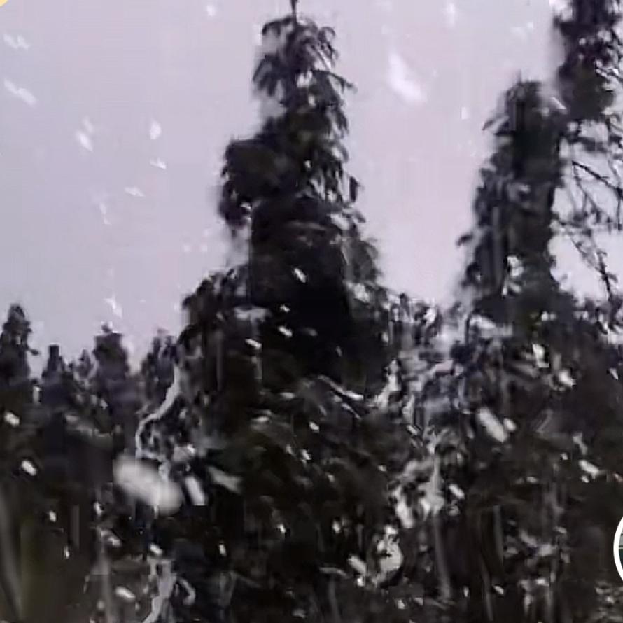 用户198901011314520