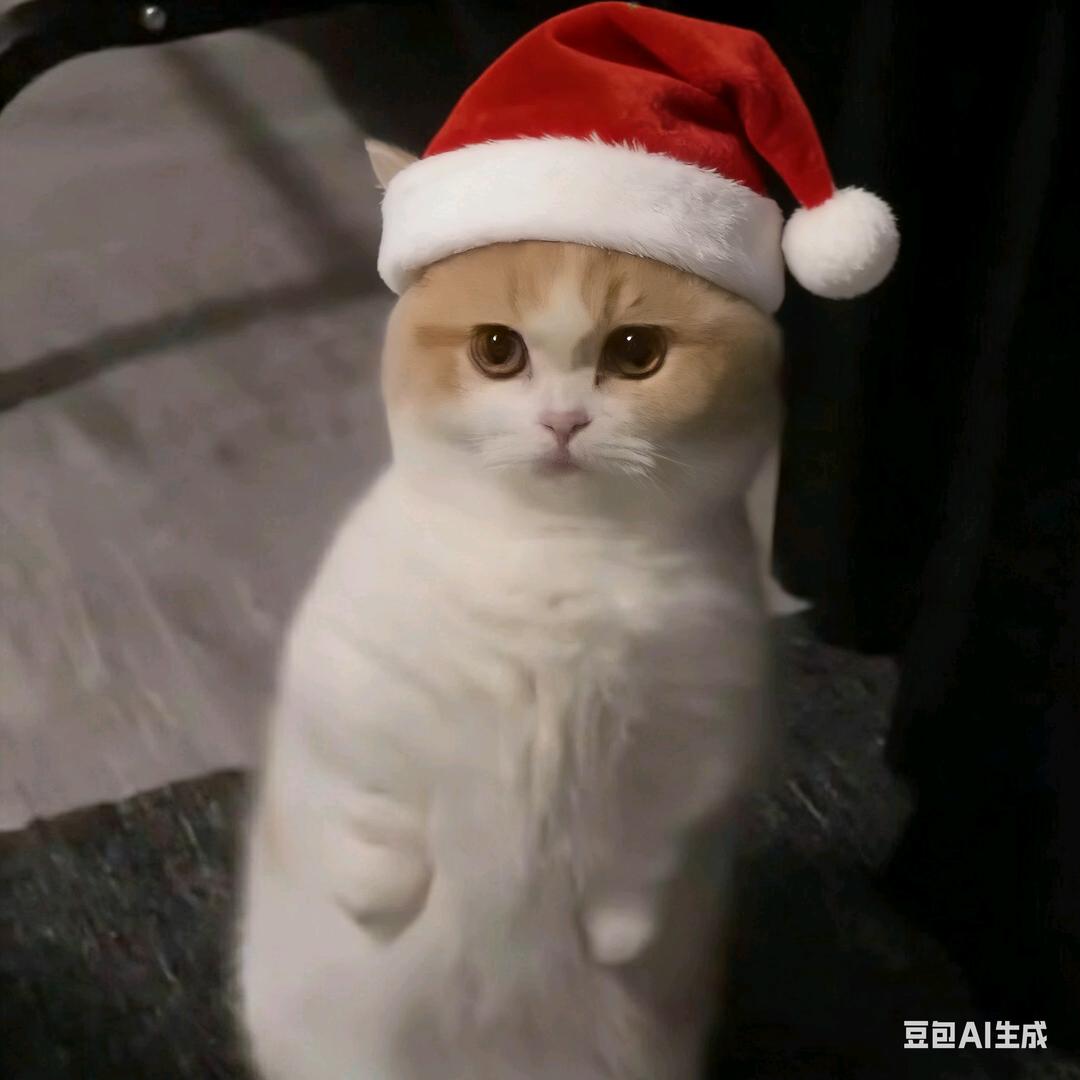 等轻雪