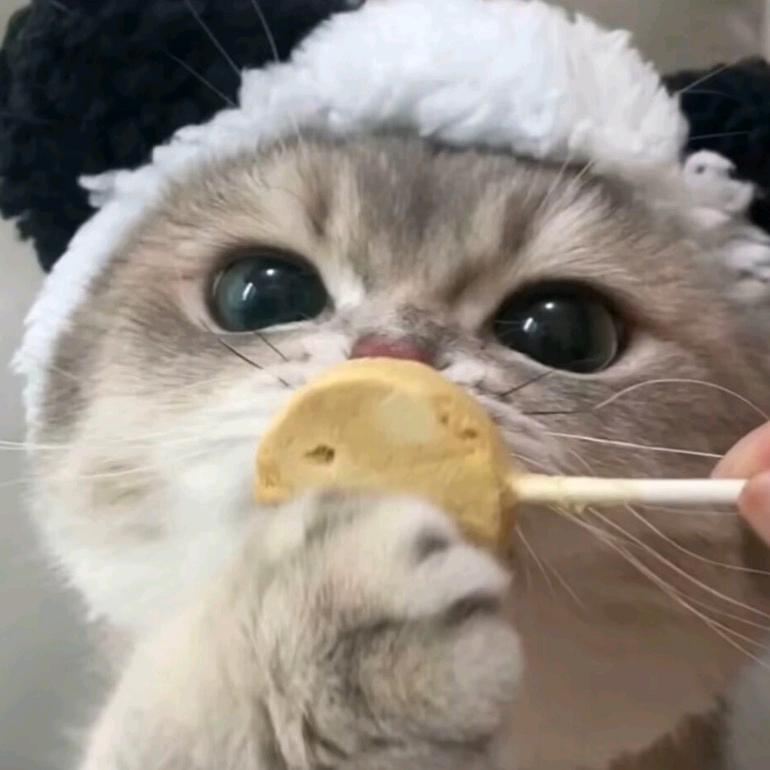 王寶潤.