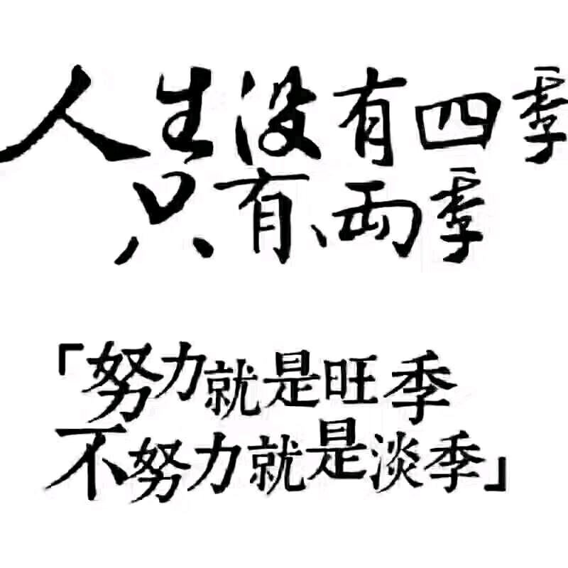 马到成功（老鲁物流～直达全国各地车队）