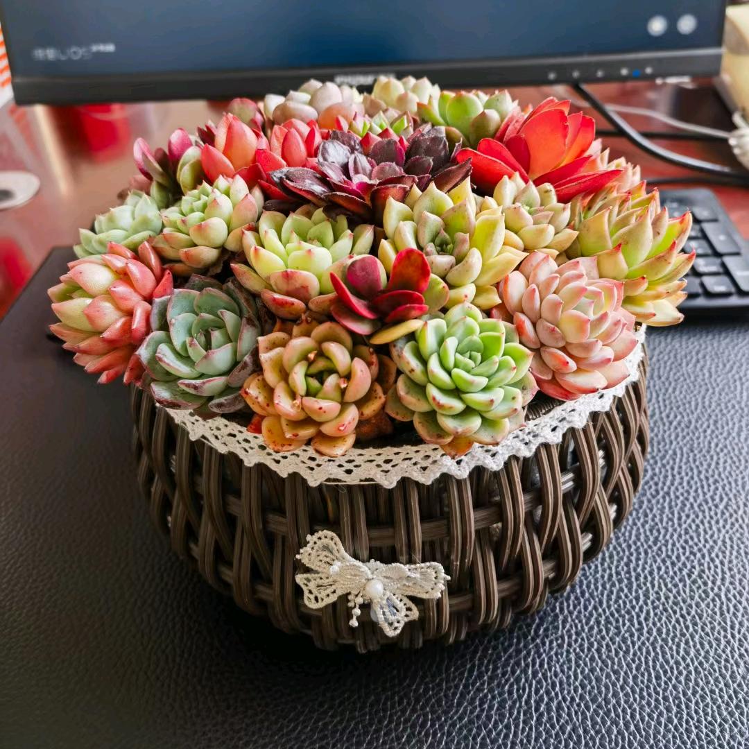 圣域良品