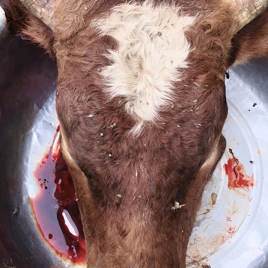 聊不到一个高点，就不聊