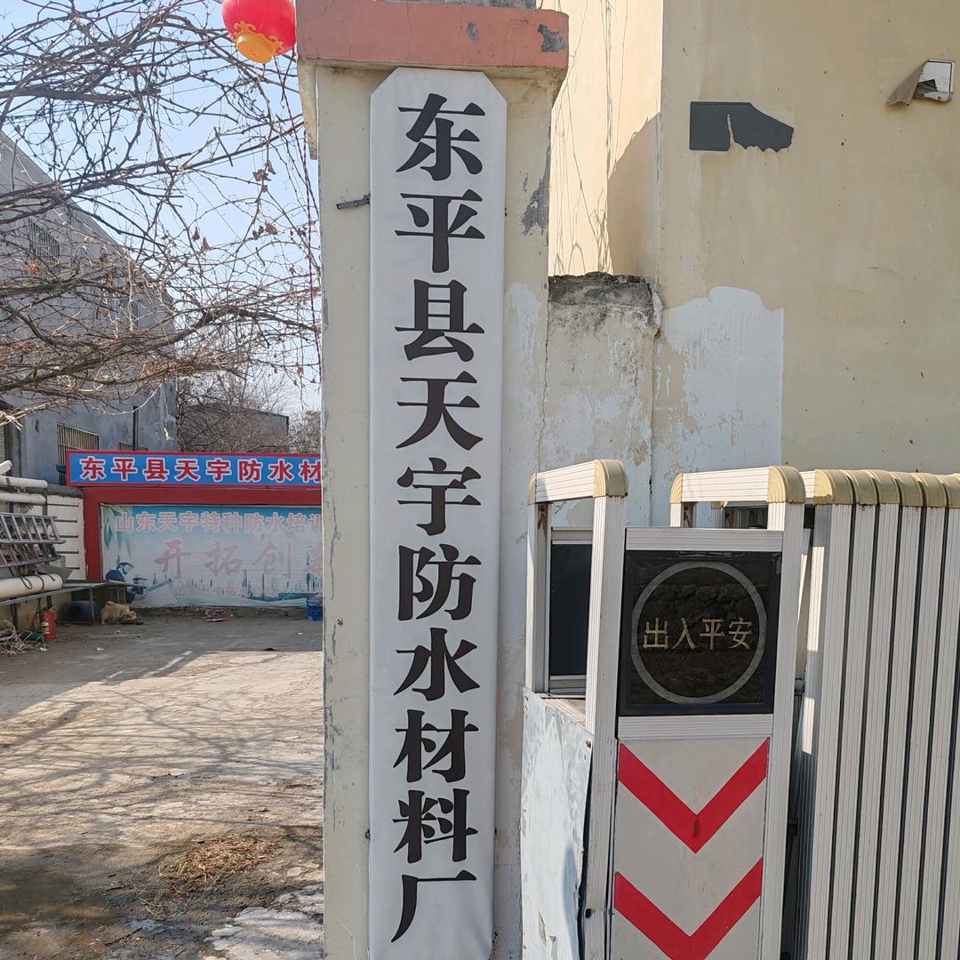 东平天宇