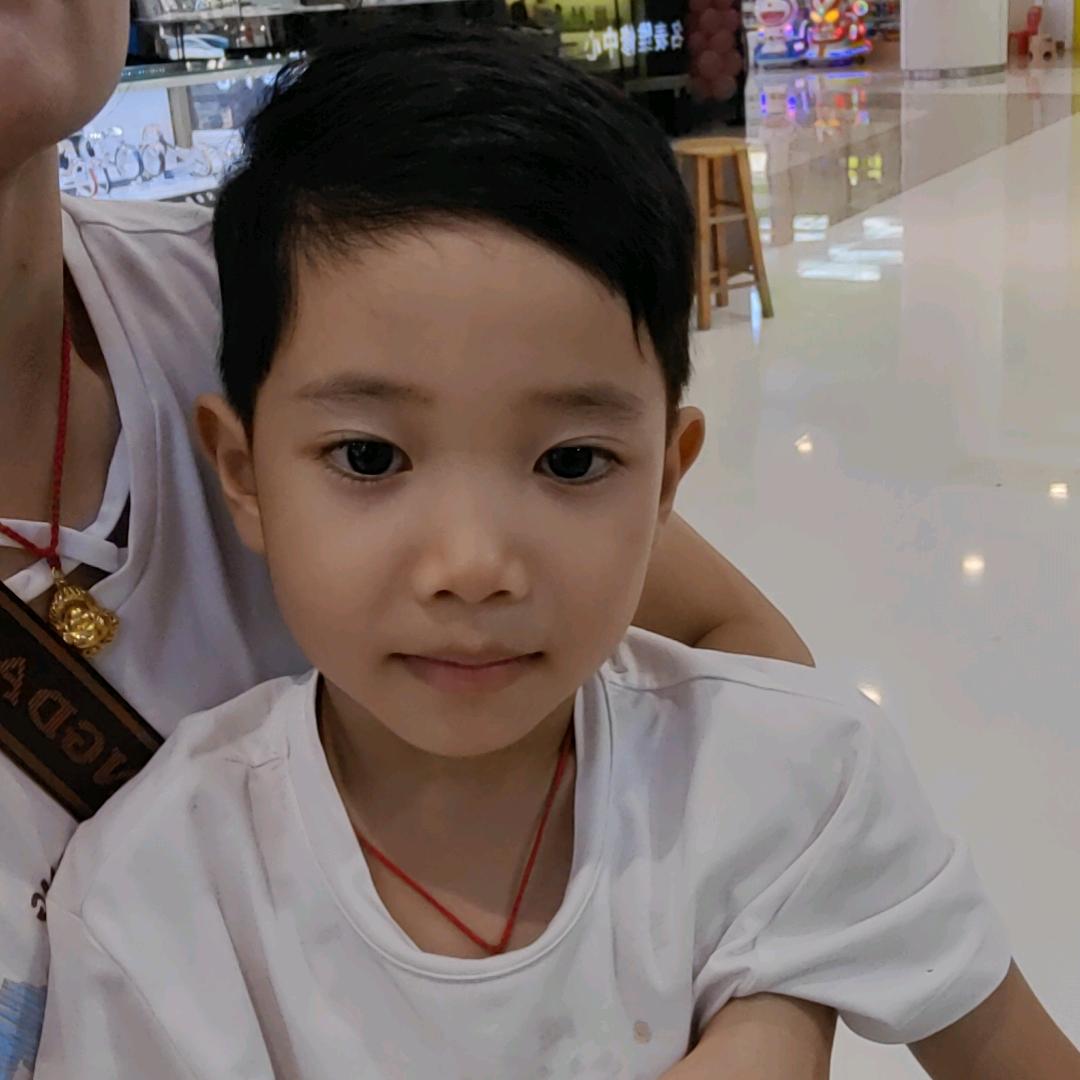 铠宝成长记