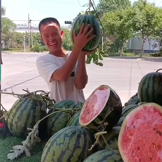 精品@水果@蔬菜