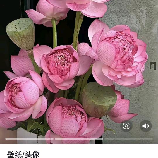 农村大叔