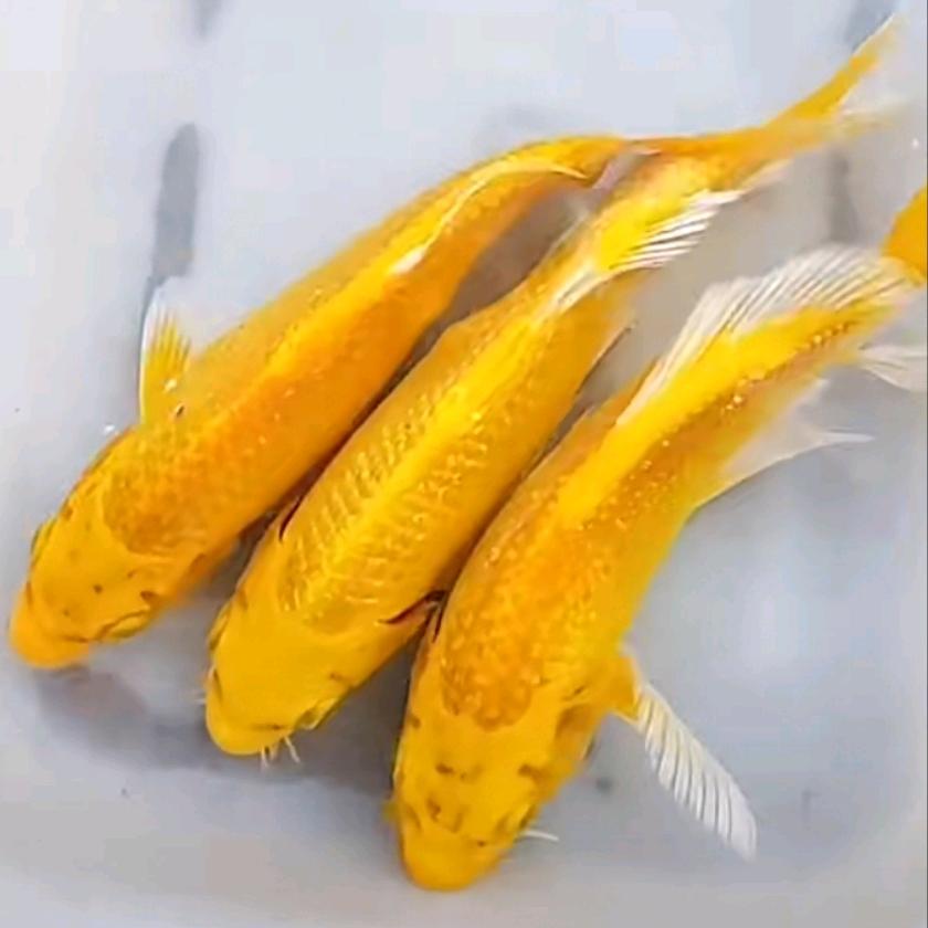 享受养生的年轻人